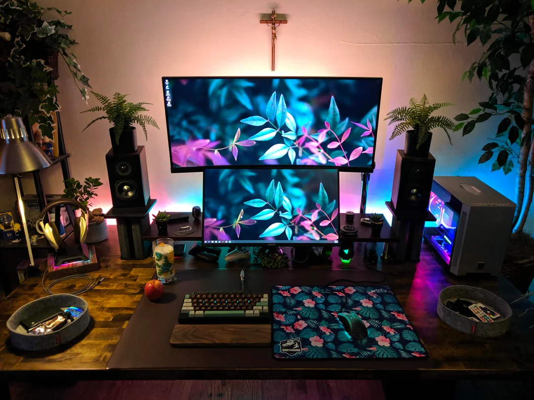 MONITOR GAMING
